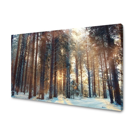 Canvas Print Forest Winter Snow White Nature 120x80 cm
