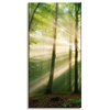 Canvas Print Sun in the Forest Trees Nature 60x120 cm