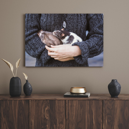 Canvas Print Animals Animals 40x30 cm