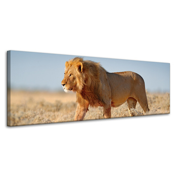 Canvas Print Walking Lion on Savannah Grass 120x40 cm