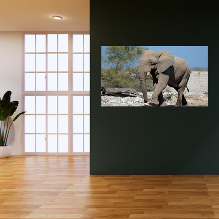 Canvas Print Large Gray Elephant Nature Rocks Sun 100x80 cm