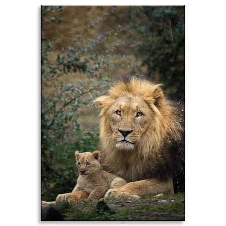 Canvas Print Lion and Lion Cub Nature Trees Nature 80x120 cm