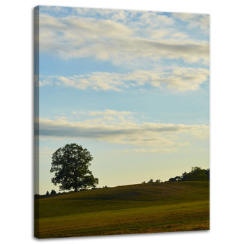 Canvas Print Nature Tree in Field 30x40 cm