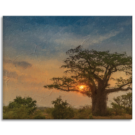 Canvas Print Sunset on the Savannah 100x80 cm