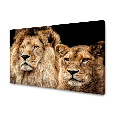 Canvas Print Portrait of Lion Pair Wilderness Couple 100x80 cm