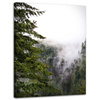Canvas Print Nature Mountains Fog Forest 30x40 cm