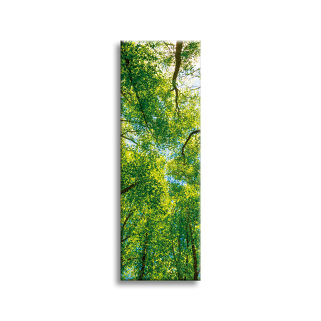 Canvas Print Trees Leaves Nature Forest Spring 40x120 cm