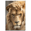 Canvas Print Terrible Beautiful Lion Brightness Animal 80x120 cm