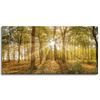 Canvas Print Sun Between Trees in the Forest 120x60 cm