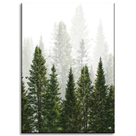 Canvas Print Rain Forest Nature Trees 50x70 cm