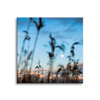 Canvas Print Nature Glade Meadow Sunrise 90x90