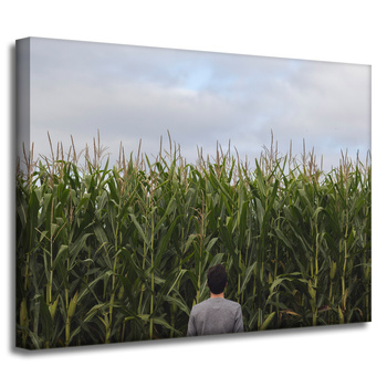 Canvas Print Nature Corn Field 40x30 cm