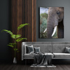 Canvas Print Animals Elephant 30x40 cm