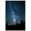 Canvas Print Space Night Forest Nebula 80x120