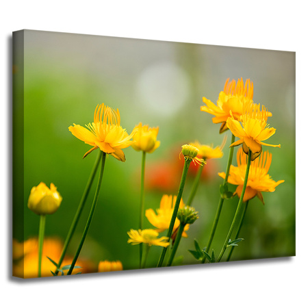 Canvas Print Botanical Yellow Flowers 40x30 cm