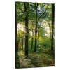 Canvas Print Sun Forest Trees Rays of Light 70x120 cm