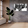 Canvas Print Elephant Close-up Gray Nature 100x80 cm