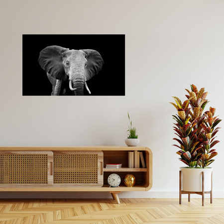 Canvas Print Gray Large Elephant on Black Background 100x80 cm