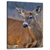 Canvas Print Animals Roe Deer 30x40 cm