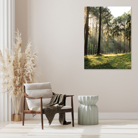 Canvas Print Forest Trees Sun Nature 50x80 cm