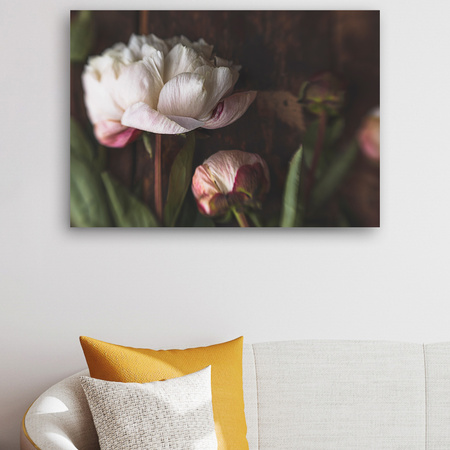 Canvas Print White Flower Nature Vintage Retro 90x60