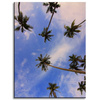 Canvas Print Nature Coconut Palm Trees 30x40 cm