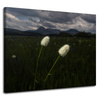 Canvas Print Nature Wildflowers 100x80 cm