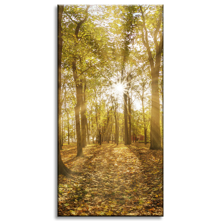 Canvas Print Sun Between Trees in the Forest 40x80 cm