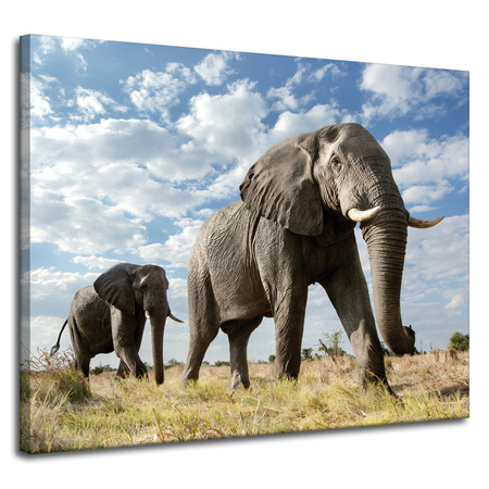 Canvas Print Large Gray Elephants Africa Nature 100x80 cm