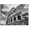 Canvas Print Architecture Colosseum black and white 40X30 cm