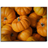 Canvas Print Kitchen Pumpkins 40x30 cm