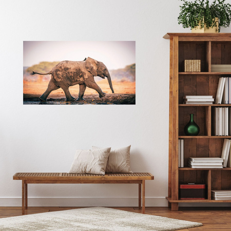 Canvas Print Muddy Running Elephant Nature 100x80 cm