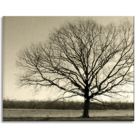 Canvas Print Gloomy Black Tree Sadness 100x80 cm