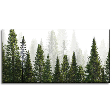 Canvas Print Rain Forest Nature Trees 80x40 cm