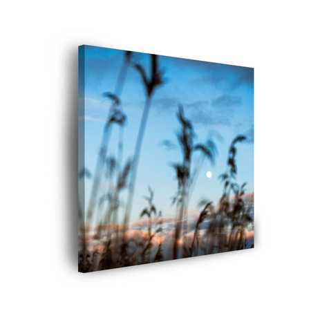 Canvas Print Nature Glade Meadow Sunrise 90x90
