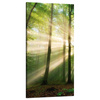 Canvas Print Sun in the Forest Trees Nature 60x120 cm