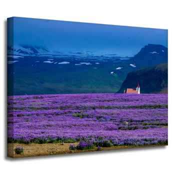 Canvas Print Nature Lavender Field 40x30 cm