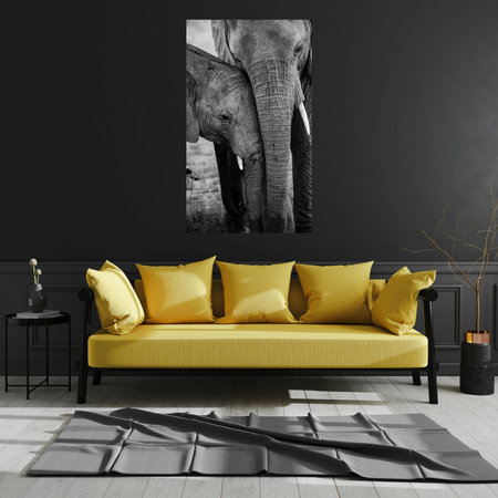 Canvas Print Black and White Elephant Couple Nature 80x120 cm