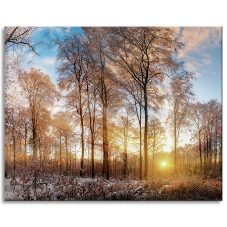 Canvas Print Trees Winter Rising Sun 100x80 cm