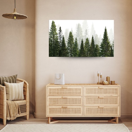 Canvas Print Rain Forest Nature Trees 80x50 cm