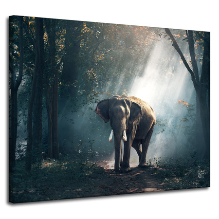 Canvas Print Animals Elephant 100x80 cm