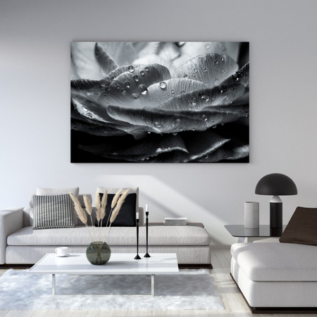 Canvas Print Botany Flower in Dew Drops 40x30 cm