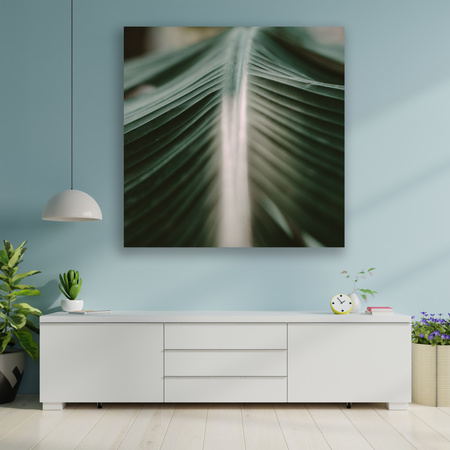 Canvas Print Nature Palm Leaf 90x90