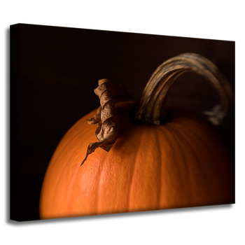 Canvas Print Kitchen Pumpkin 40x30 cm