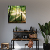 Canvas Print Sun in the Forest Trees Nature 40X40 cm