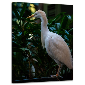 Canvas Print Animals Bird 30x40 cm