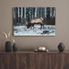 Canvas Print Animals Canadian Deer 40x30 cm