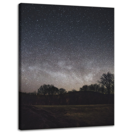 Canvas Print Space Starry Sky 30x40 cm