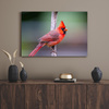 Canvas Print Animals Cardinal Bird 40x30 cm