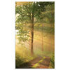 Canvas Print Sunlight Forest Path Nature 70x120 cm